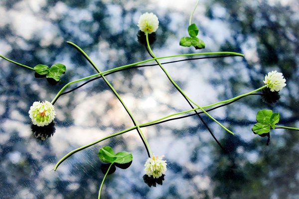 What Instagram Hashtag Strategies Should UK Contemporary Artists Use to Gain Broader Exposure?